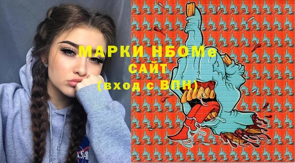 шишки Алексин