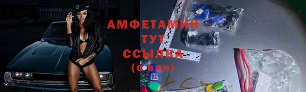 шишки Алексин