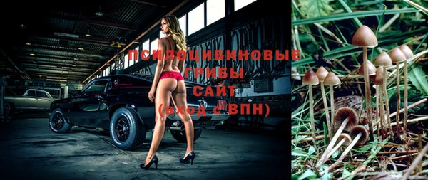 mdpv Алзамай