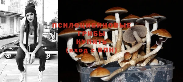 шишки Алексин