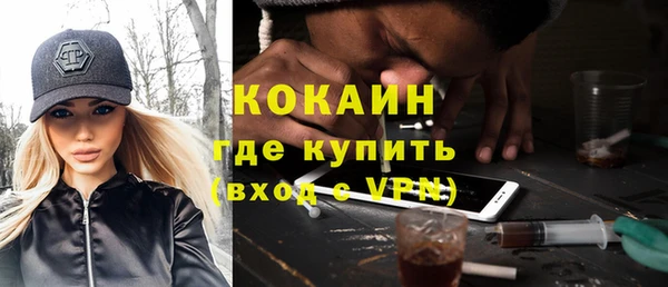 шишки Алексин