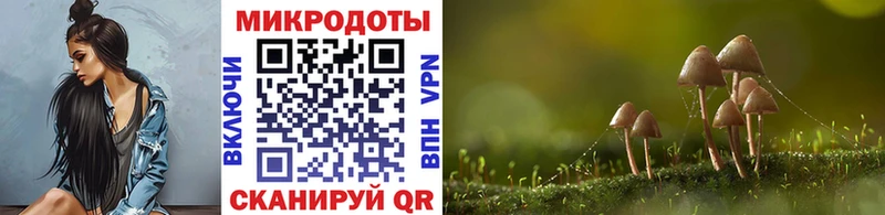 Галлюциногенные грибы Cubensis  Светлоград 