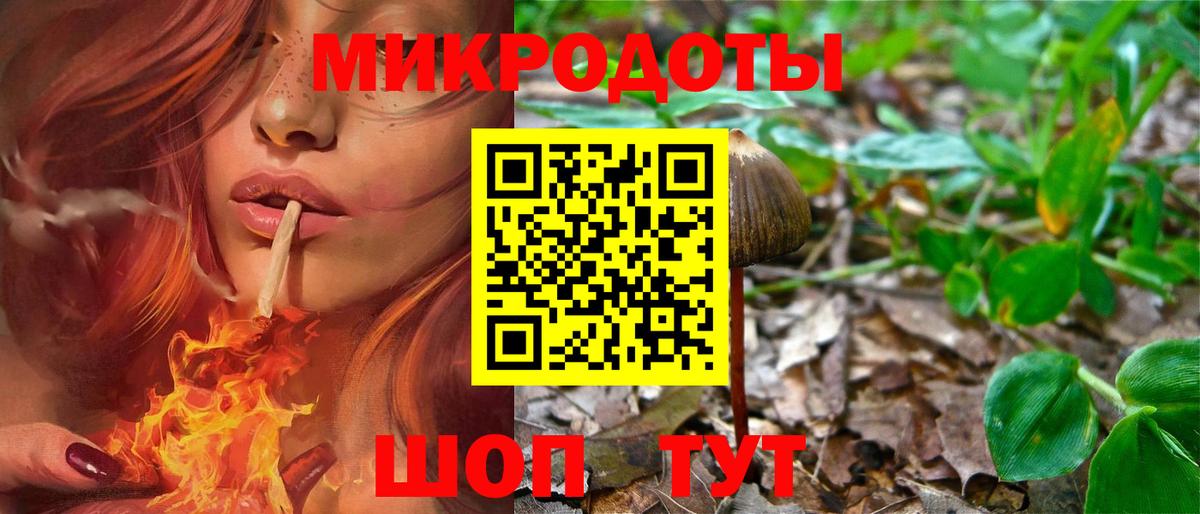 Псилоцибиновые грибы мицелий  Вход с VPN  Светлоград  Галлюциногенные грибы ЛСД 